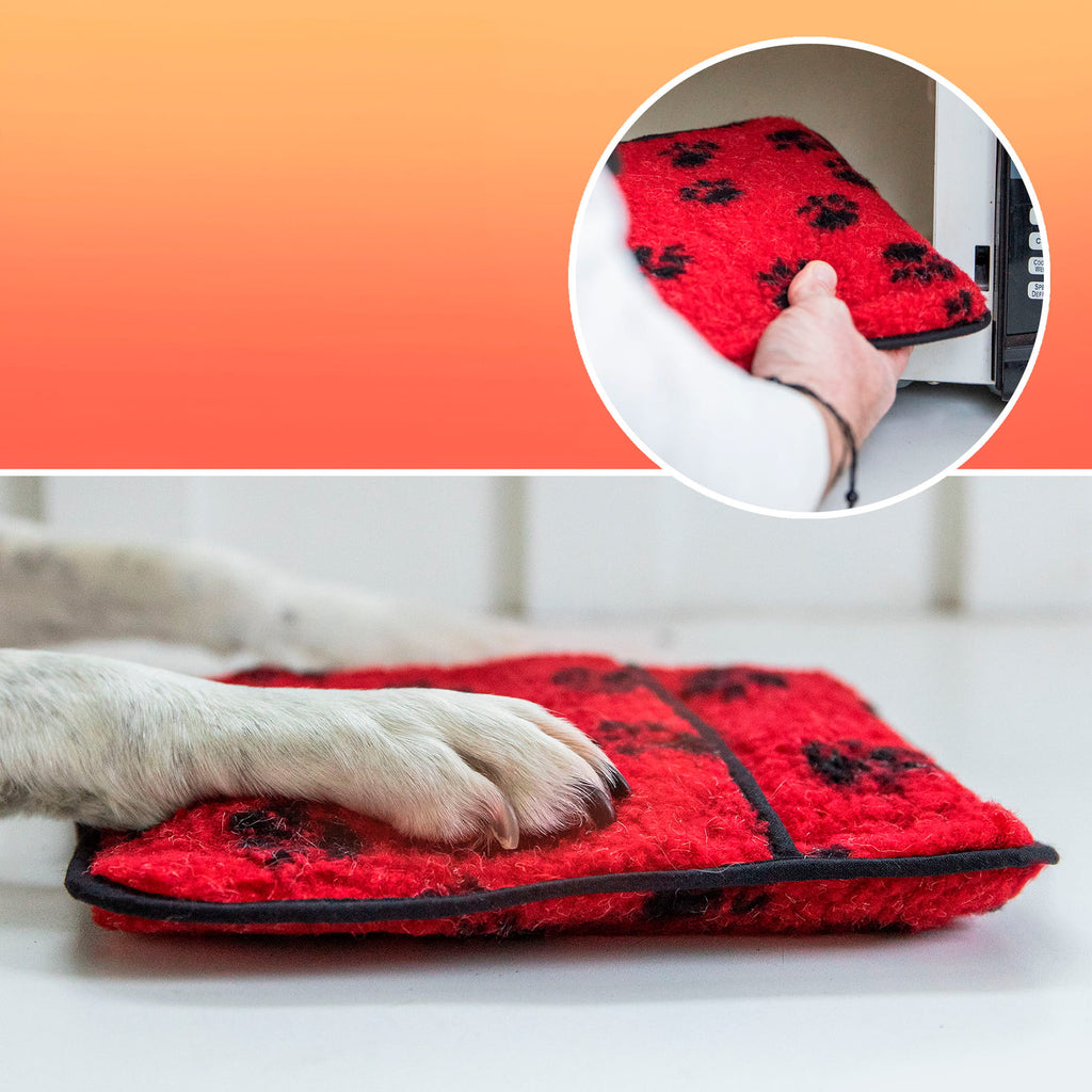 Bouillotte-4PATTES-4-rouge