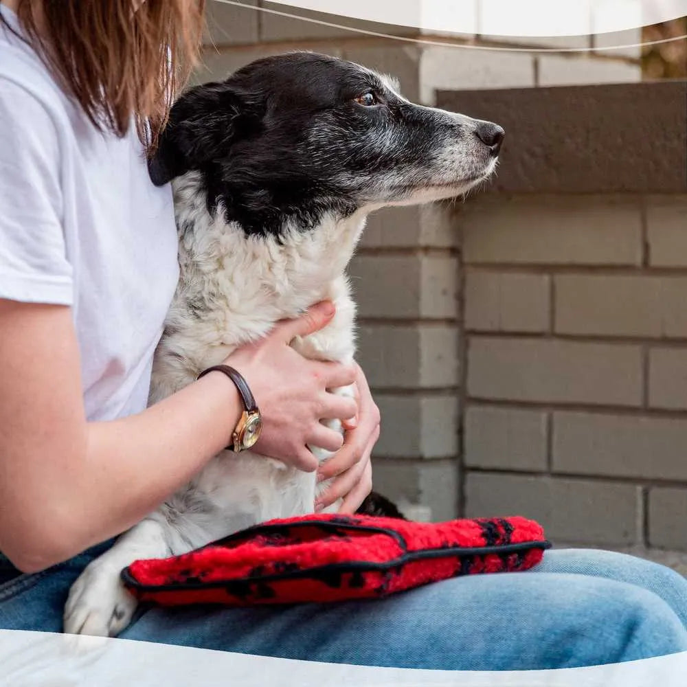 Bouillotte-4PATTES-2-rouge