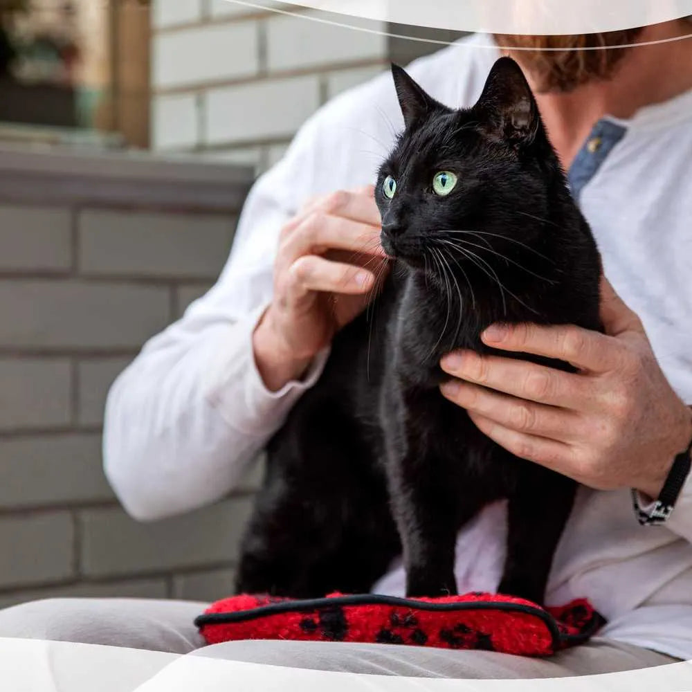 Bouillotte-4PATTES-3-rouge